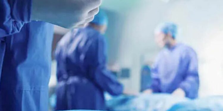 குழவிக் கொட்டுக்கு இலக்கான சிறுவன் உயிரிழப்பு!