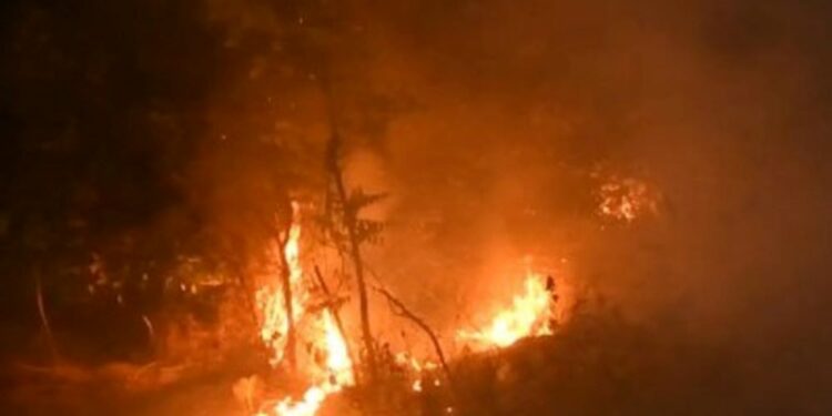 தப்போவ சரணாலயத்தில் தீ பரவல்