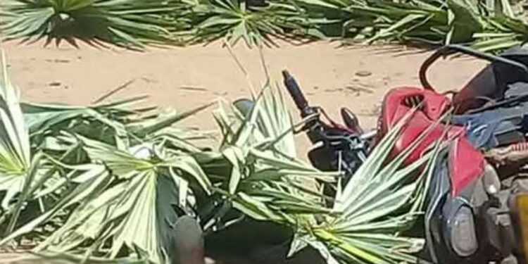 மன்னார் பரபரப்பு சம்பவத்தில் இருவர் பலி!