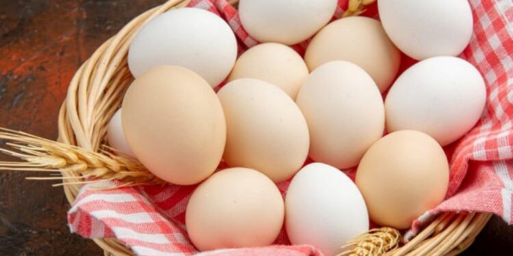 உள்ளூர் சந்தையில் முட்டை விலை குறைப்பு!