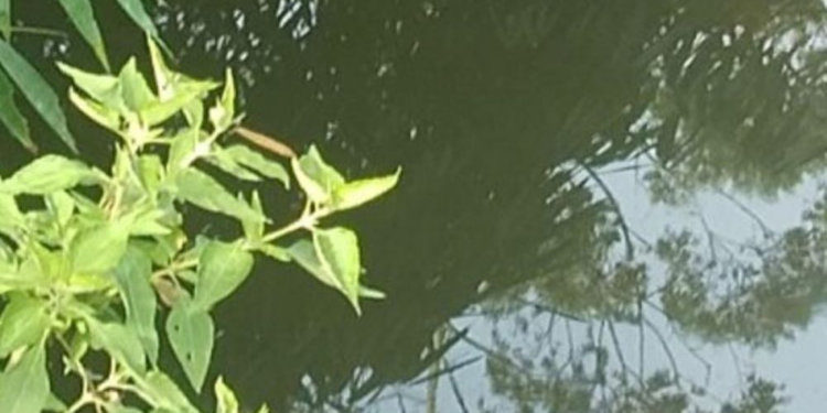 குழந்தையுடன் தெப்பக்குளத்தில் குதித்த தாய் உயிரிழப்பு!