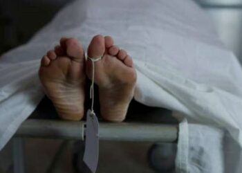 பாம்புக் கடிக்கு இலக்கான பெண் உயிரிழப்பு!