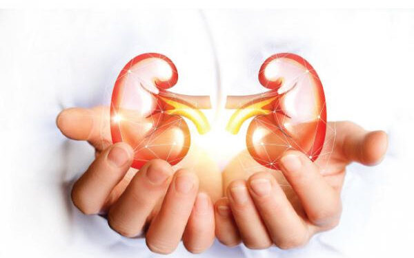 சிறுநீரக நோய்க்கான அறிகுறிகள்