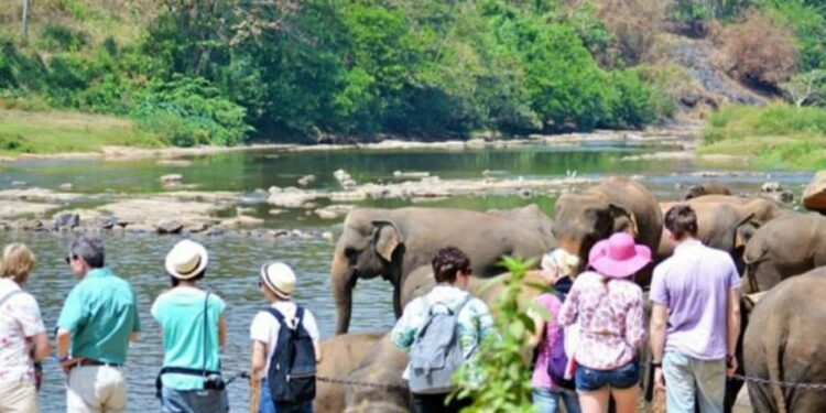 நாட்டிற்கு வரும் சுற்றுலா பயணிகளின் எண்ணிக்கை அதிகரிப்பு!