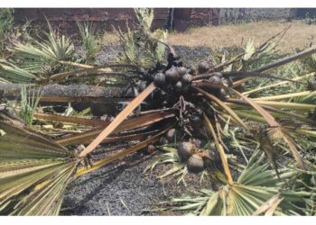 மட்டக்களப்பு காத்தான்குடியில் தீ விபத்து!