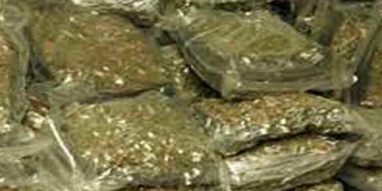 யாழ் நீதிமன்றில் வைக்கப்பட்ட கஞ்சா மாயம்!