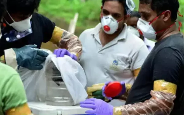 கேரளாவை உலுக்கும் நிபா வைரஸ்