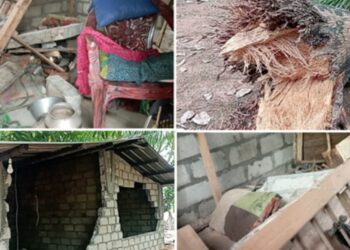 மட்டக்களப்பில் காட்டு யானைகள் அட்டகாசம்!