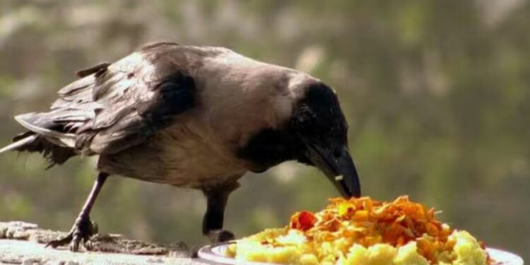 புரட்டாசி சனி விரதம்!