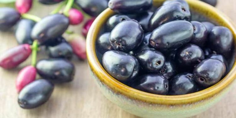 நாவற்பழம் பறிக்க சென்ற சிறுவன் உயிரிழப்பு!