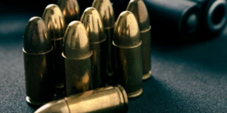 கொழும்பு வீடொன்றிற்கு அருகில் மீட்க்கப்பட்ட தோட்டாக்கள்