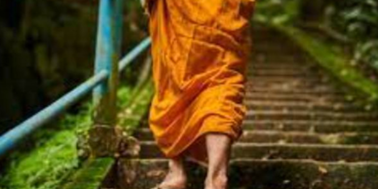 கனடா ஆசை காட்டி மோசடியில் ஈடுபட்ட பிக்கு