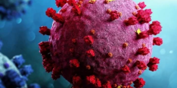 புதிய வைரஸ் தொடர்பில் எச்சரிக்கை விடுப்பு!