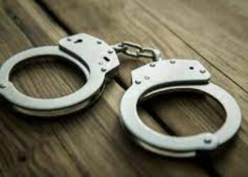 மட்டக்களப்பில் தாயை தாக்கிய மகன் கைது!