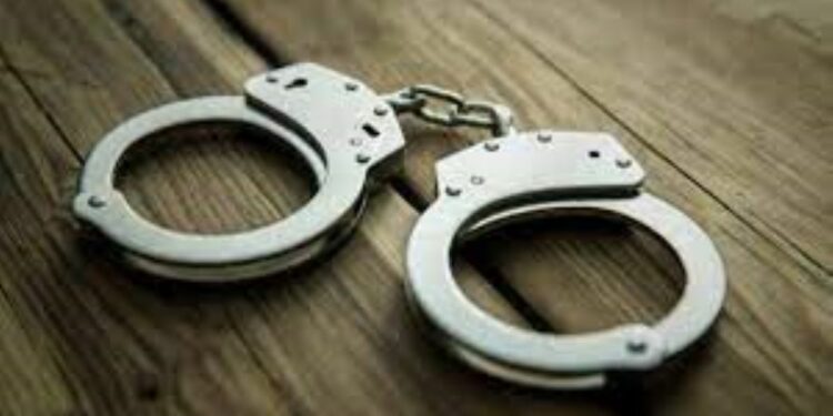 மட்டக்களப்பில் தாயை தாக்கிய மகன் கைது!