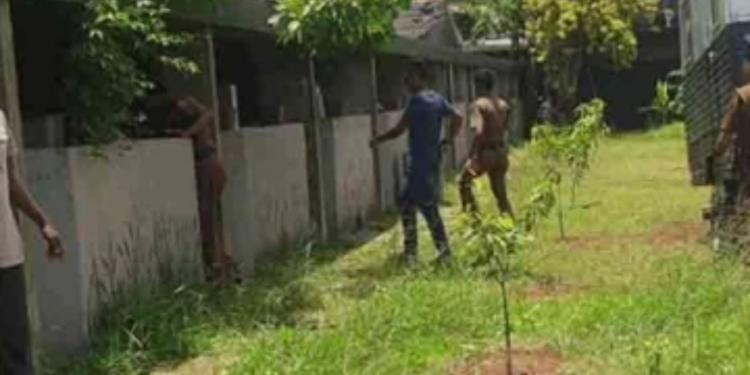 தவறான சம்பவங்களால் யாழ் பூங்கா ஒன்றிக்கு தடை விதிப்பு!