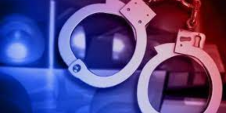 சட்டவிரோதமாக புதையல் தோண்டிய நபர்கள் கைது!