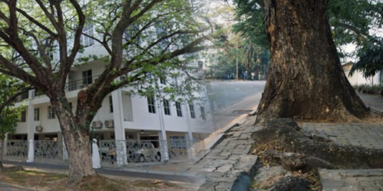 கொழும்பில் மரங்களால் ஆபத்து!