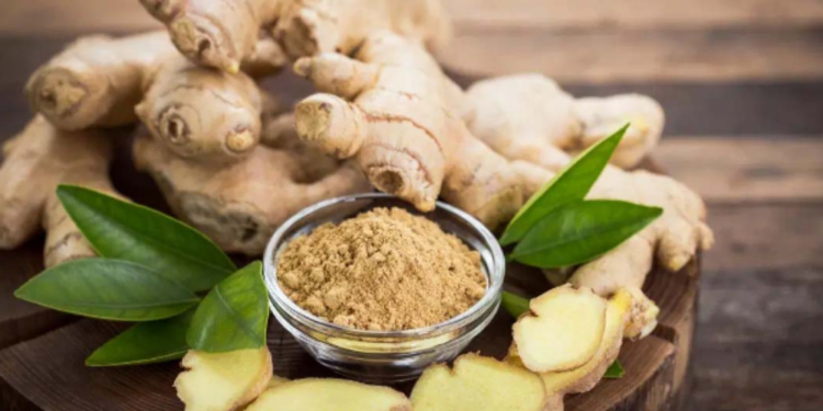 வெறும் வயிற்றில் இஞ்சி சாப்பிடலாமா?