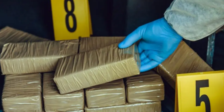 இலங்கையில்  தற்க்காலிகமாக நிறுத்தப்படும் சேவைகள்