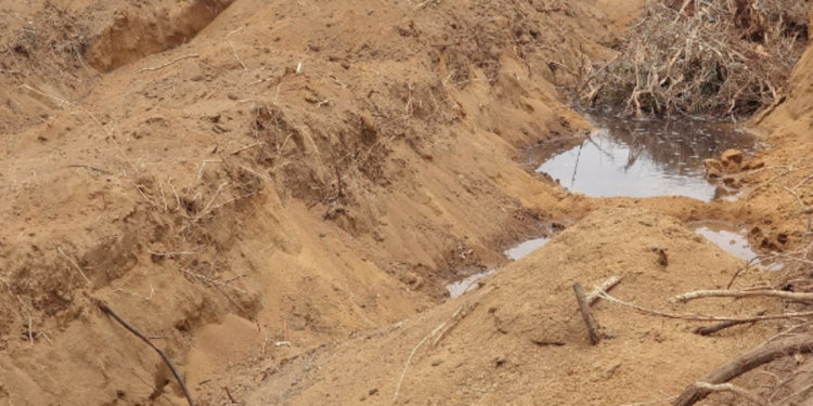 போலி மணல் அனுமதிப்பத்திரம் பயன்படுத்திய இருவர் கைது!