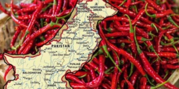 பாகிஸ்தானுக்கு திருப்பி அனுப்பபட்ட மிளகாய்!