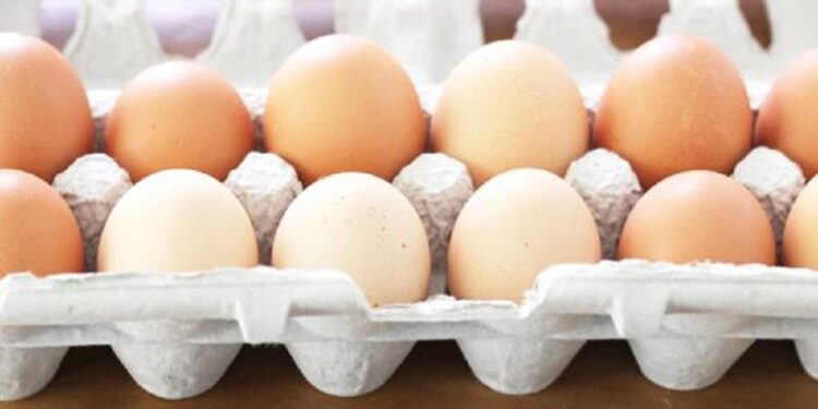 முட்டை விலை தொடர்பில் வெளியாகியுள்ள செய்தி!