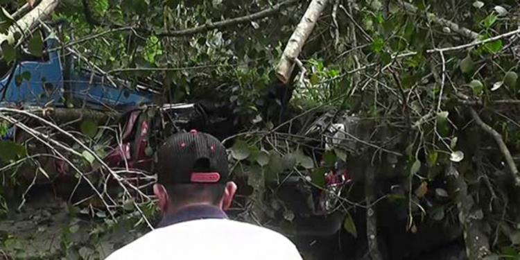 மரங்கள் முறிந்து விழுந்ததால் சேதமடைந்த வீதிகள்!