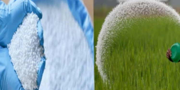 நெற்செய்கையாளர்களுக்கான செய்தி!