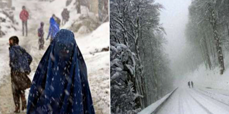 குளிர்காலத்தில் உண்ணக்கூடிய உணவுகள்