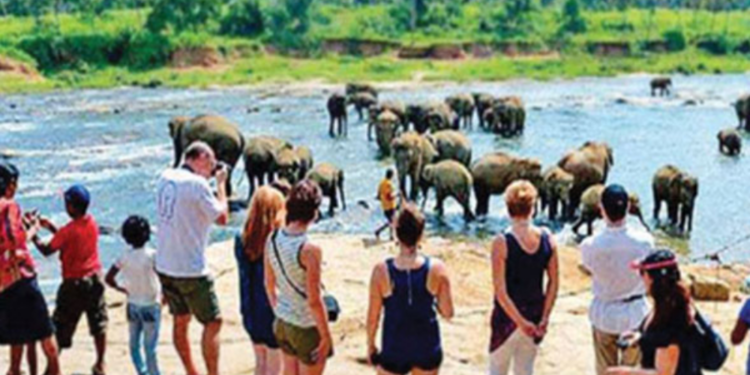 நாட்டிற்கு வரும் சுற்றுலா பயணிகளின் எண்ணிக்கை அதிகரிப்பு!