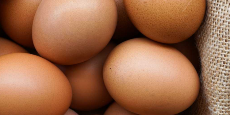 முட்டை விலை அதிகரிப்பு!