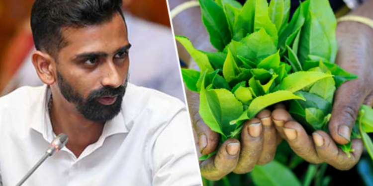 பெருந்தோட்டத் தொழிலாளர்களுக்கான சம்பள முறைமையில் மாற்றம்  கோரும்  ஜீவன் தொண்டமான்