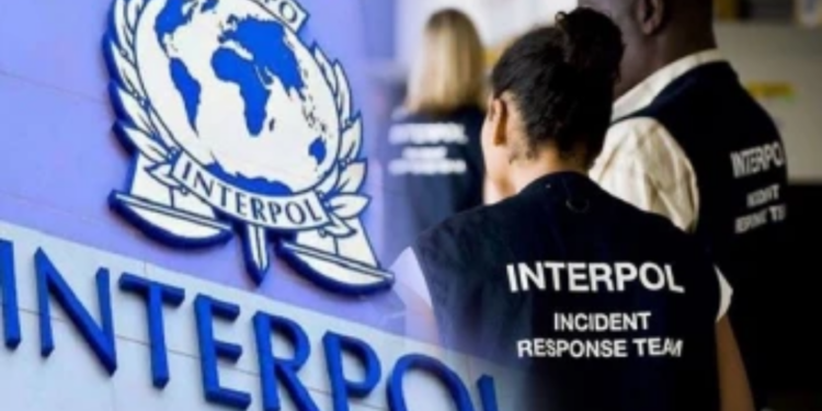 இலங்கை குற்றவாளிகளை தேடும் இன்டர்போல்