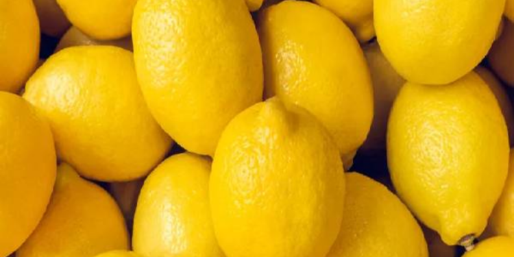 எலுமிச்சைப்பழத்தின்  விலையில் வீழ்ச்சி!