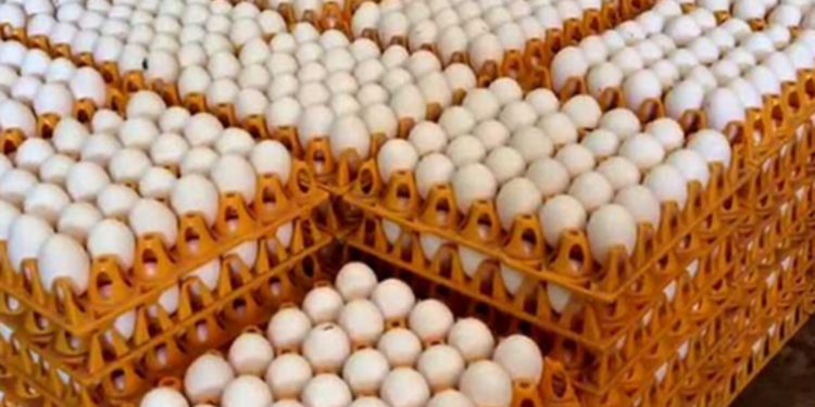 நாட்டிற்கு தேவையான முட்டைகள் இறக்குமதி!