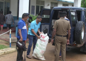 கிளிநொச்சி வீடொன்றில் பாரிய தொகை கஞ்சா மீட்பு!