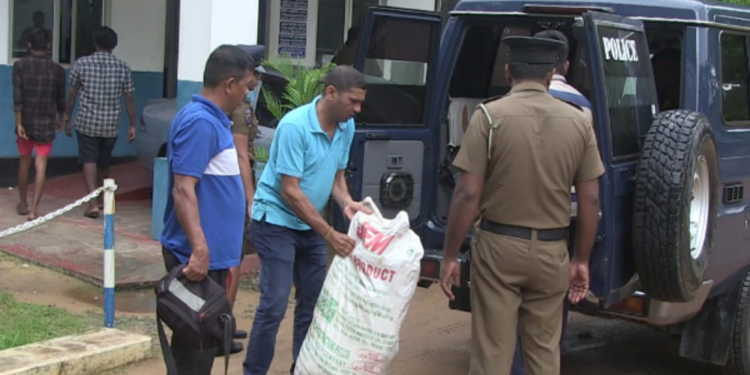 கிளிநொச்சி வீடொன்றில் பாரிய தொகை கஞ்சா மீட்பு!