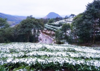 ஐரோப்பாவை போன்று காட்சியளிக்கும் நுவரெலியா