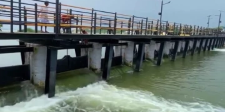 தொண்டமானாறு வாவி திறப்பு மீன் பிடிக்கும் மக்கள்!