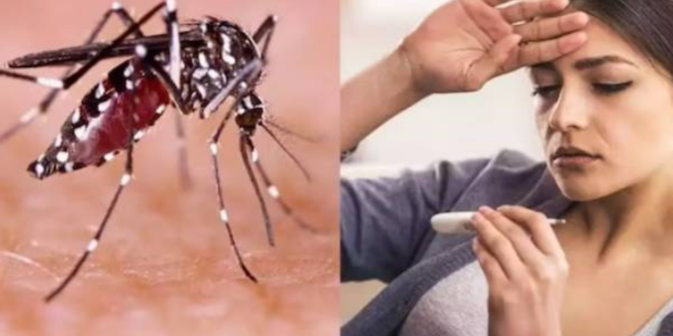 நாட்டில் தீவிரமடையும் டெங்கு!