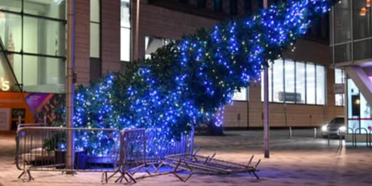 கிறிஸ்துமஸ் மரம் முறிந்து விழுந்ததில் பெண் ஒருவர் உயிரிழப்பு