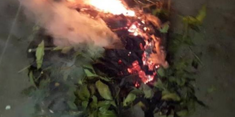 யாழில் நுளம்புக்கு புகை போட்டவருக்கு நிகழ்ந்த சோகம்!