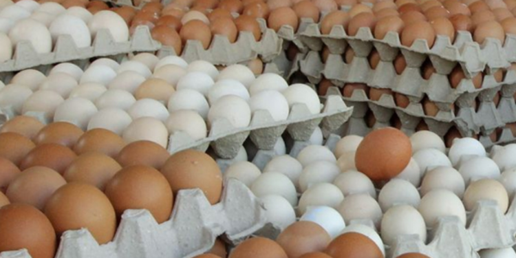 முட்டை விலை தொடர்பில் வெளியாகியுள்ள செய்தி!