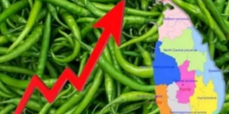 பச்சைமிளகாயின் விலை பாரிய அளவில் அதிகரிப்பு!