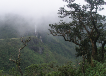 இலங்கையில்  விரைவில் நடைமுறைப்படுத்த இருக்கும் பத்தாண்டுத் திட்டம்!