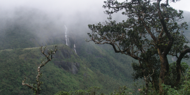 இலங்கையில்  விரைவில் நடைமுறைப்படுத்த இருக்கும் பத்தாண்டுத் திட்டம்!