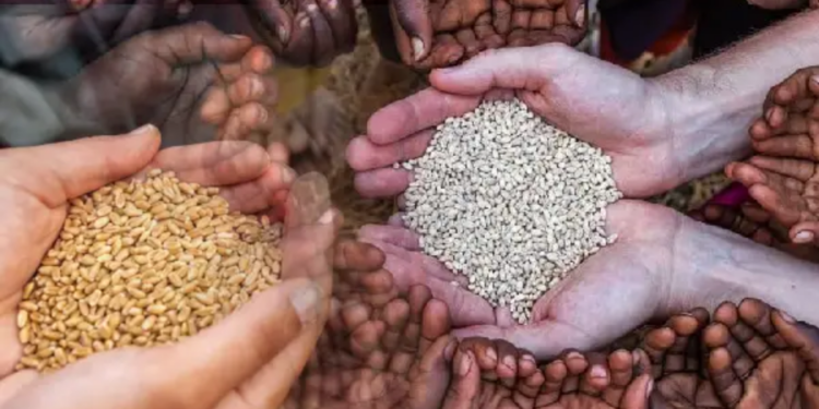 நாட்டின் உணவுப் பாதுகாப்பிற்கு கடும் அச்சுறுத்தல்!