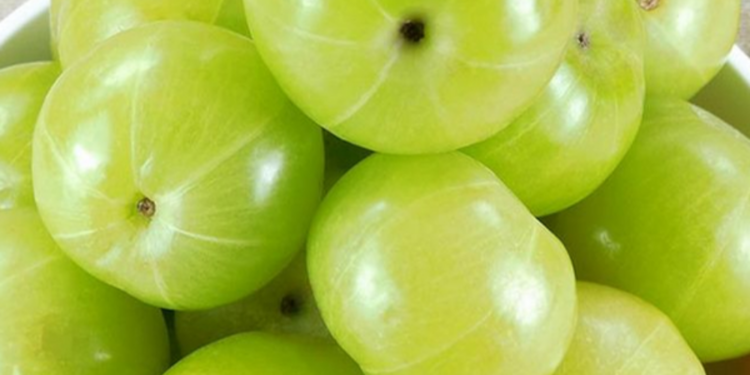 நெல்லிக்காயின் மருத்துவ குணங்கள்