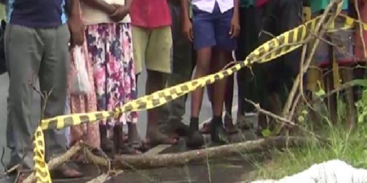 நடு வீதியில் சிசுவின் சடலம் மீட்பு!